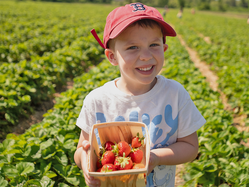 FY2 kid with strawberries.jpg
